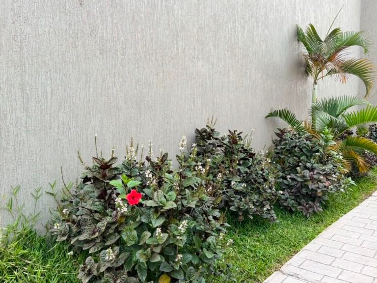WhatsApp Image 2026-07-19 at 00.38.28 (2)